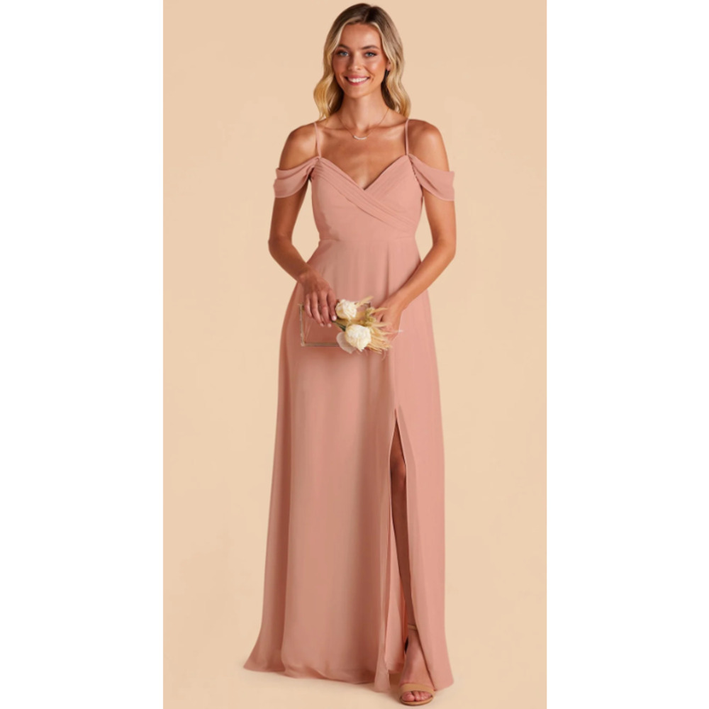 Birdy Grey Chiffon Spence Dress in Dusty Rose NWT Small